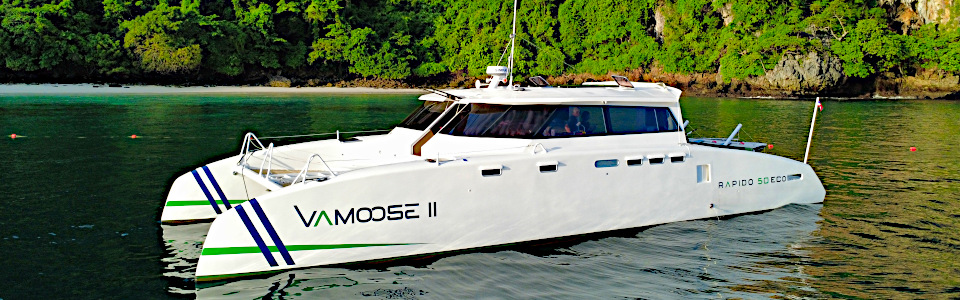 R500 ECO Power Catamaran